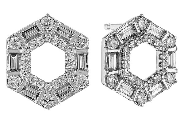 E320-29029: EARR .20 TW BAG .65 TGW