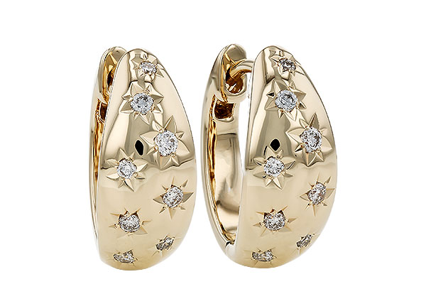 L321-19056: EARRINGS .17 TW